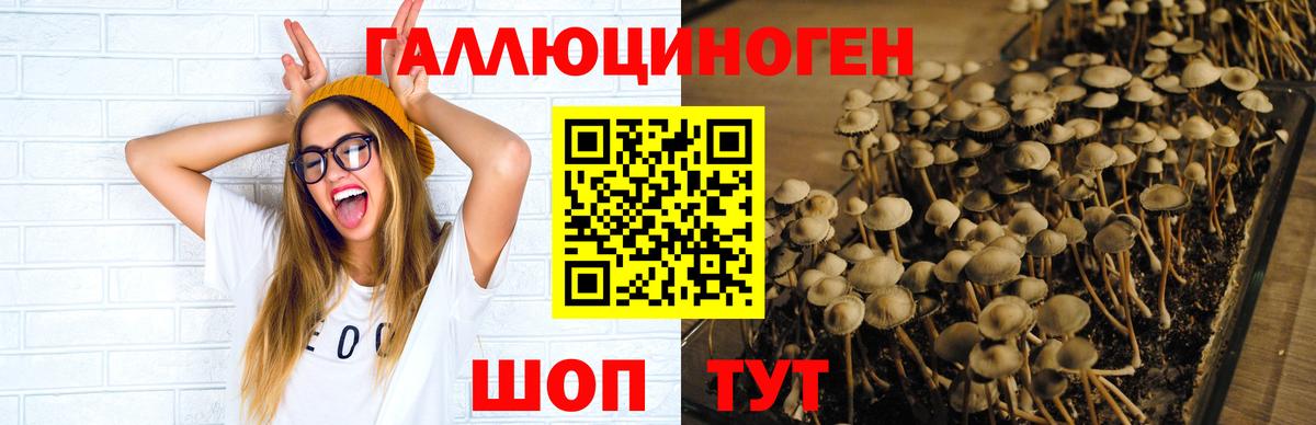 Галлюциногенные грибы Magic Shrooms  Вход с VPN  Псилоцибиновые грибы MAGIC MUSHROOMS  Десногорск 